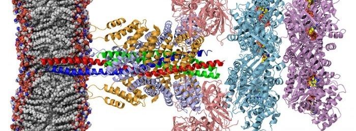 Stanford BioX Map